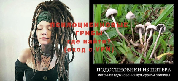 МДМА Алексеевка