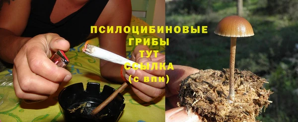 сатива Абинск